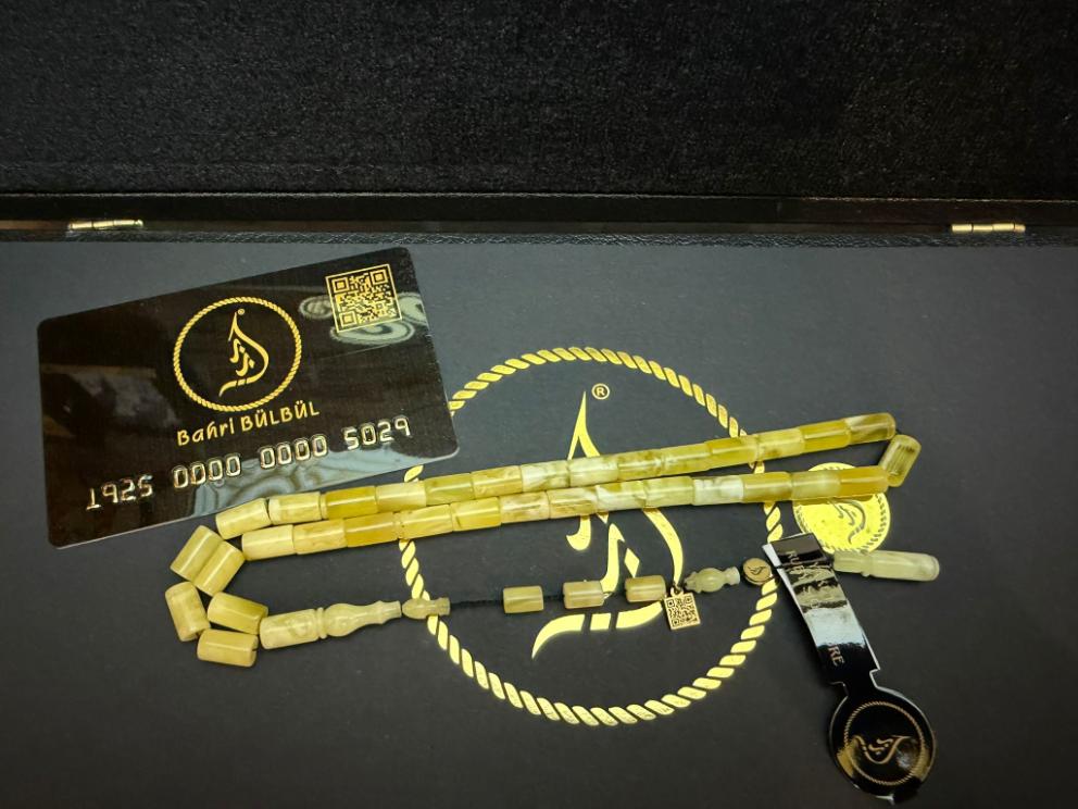 Damla Kehribar (Kaliningrad)