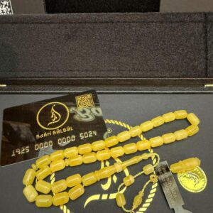 Damla Kehribar (Kaliningrad)