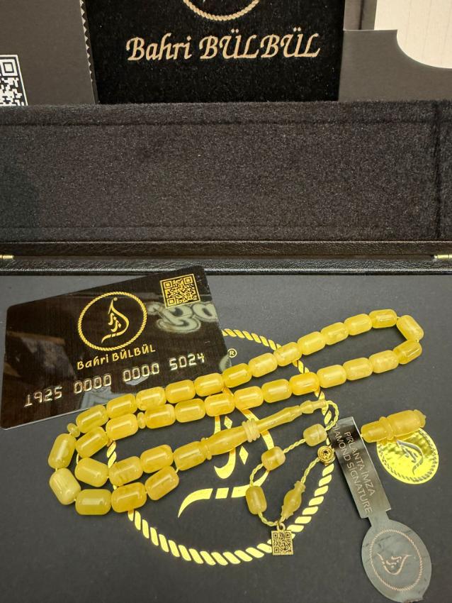 Damla Kehribar (Kaliningrad)